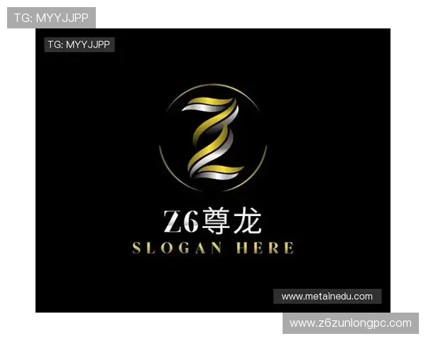 Z6尊龙真人国际:用户真实体验分享与常见问题解答